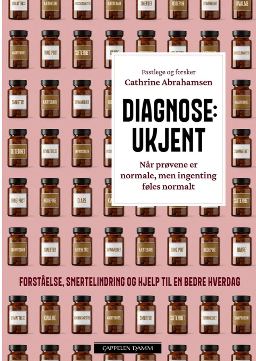 Diagnose: ukjent – når prøvene er normale, men ingenting føles normalt
