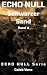 ECHO NULL - Schwarzer Sand ...