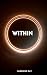 Within: A panentheist moder...