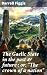 The Gaelic State in the pas...