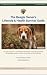 Beagle Owner's Lifestyle & Health Survival Guide by M.J. Keus