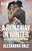 A Runaway in Winter
