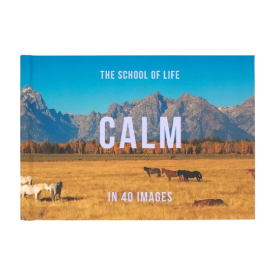 Calm in 40 Images: The art of finding serenity (40 Images series, 3)