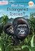 What Are Endangered Species?