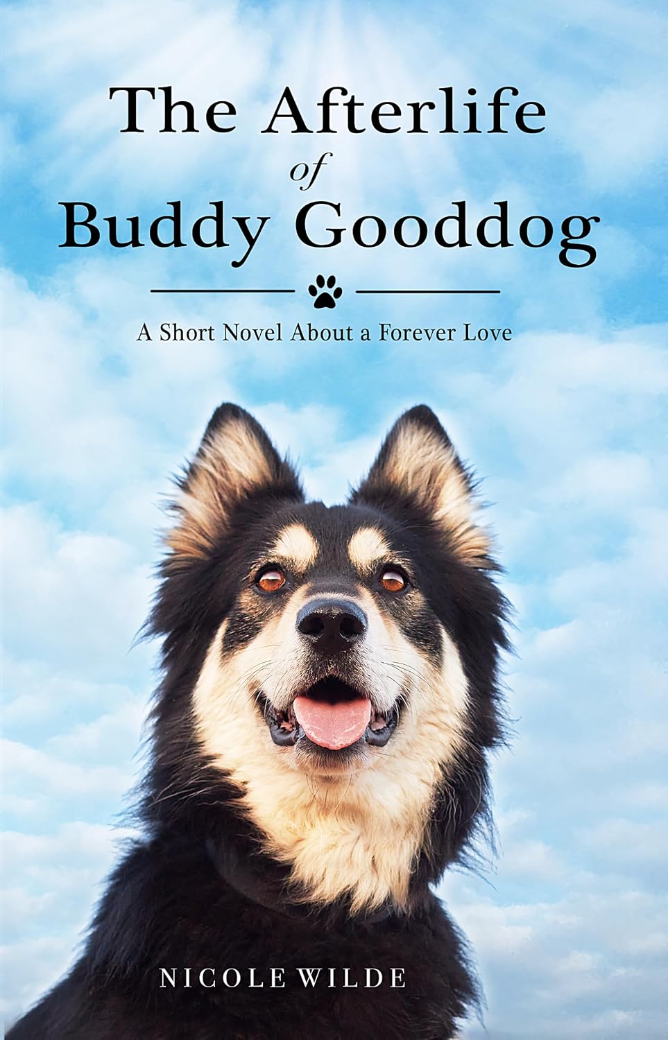 The Afterlife of Buddy Gooddog: A Short Novel About a Forever Love