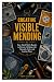 CREATIVE VISIBLE MENDING: E...