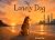 The Lonely Dog