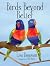 Birds Beyond Belief