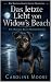 Das letzte Licht von Widow’...