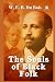 The Souls of Black Folk: An...