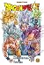 Dragon Ball Super Vol. 24