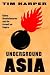 Underground Asia: Global Re...