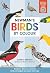 Newmans’s Birds by Colour
