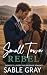 Small Town Rebel: Forced Pr...