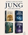 Jung for Beginner...
