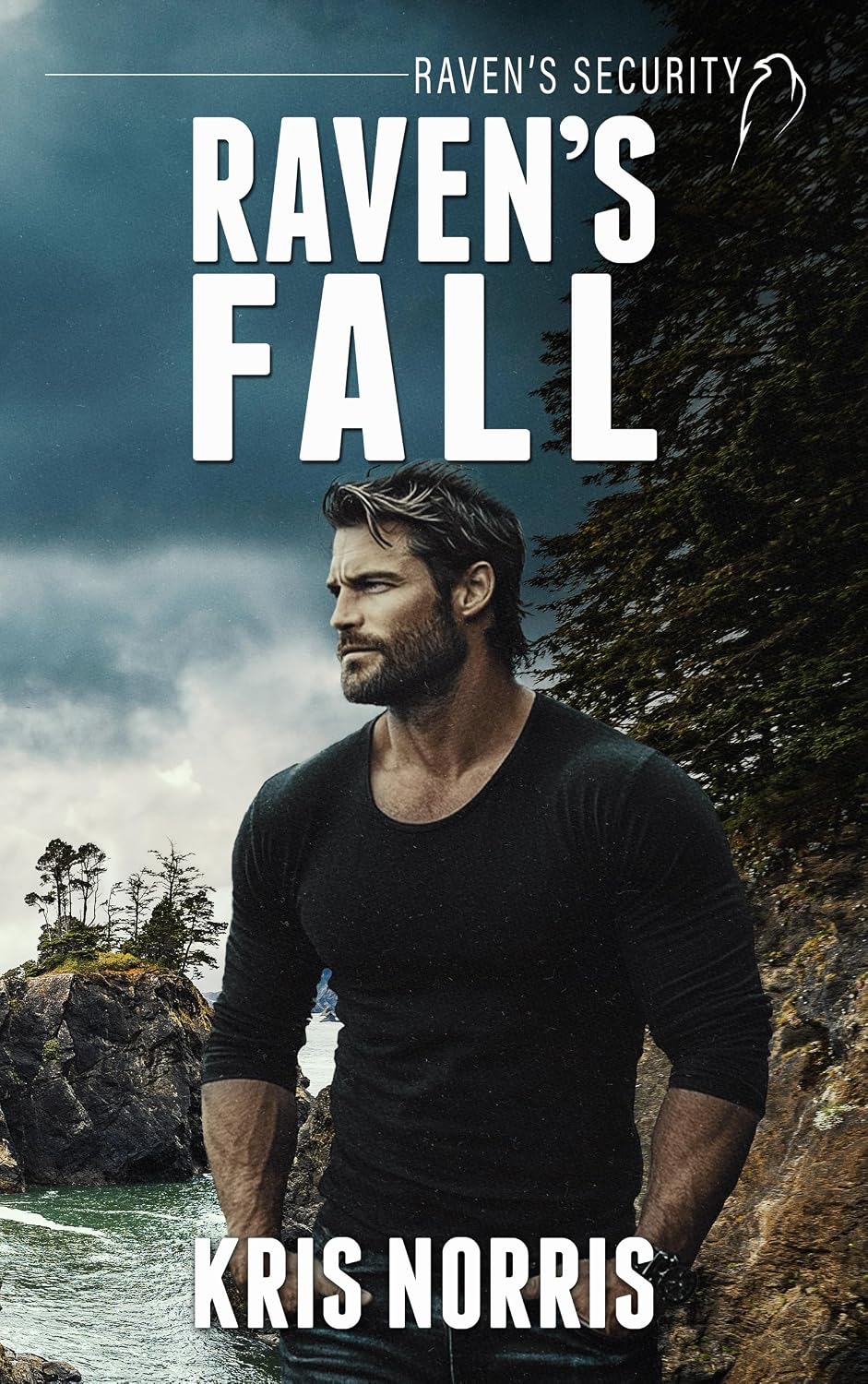 Raven's Fall (Raven's Security #1)