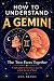 How to Understand a Gemini by Ana Bravo