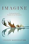 IMAGINE: Understanding the Paradox of our Perception