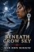BENEATH CROW SKY by Sean Schultz