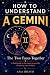 How to Understand a Gemini by Ana Bravo