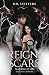 Reign of Scars by B. B. Stiffers