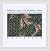 Danseparc by Martha Johnson