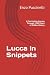 Lucca in Snippets: A Fascin...