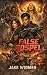 False Gospel by Jake Widmer