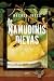 Namudinis dievas