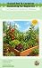 Raised Bed & Container Gard...