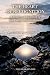 The Heart of Recognition by Angarakaya Das