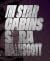 The Star Cabins by Sara Wainscott The Star Cabins by Sara Wainscott