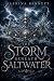 The Storm Beneath Saltwater by Sabrina Bennett