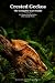 Crested Geckos: The Complet...