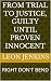 FROM TRIAL TO JUSTICE, GUILTY UNTIL PROVEN INNOCENT by Leon Jenkins