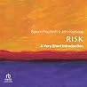 Risk: A Very Shor...