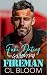 Fake Dating the Grumpy Fireman (Harbor Keep Romances)