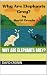 Why Are Elephants Grey?
