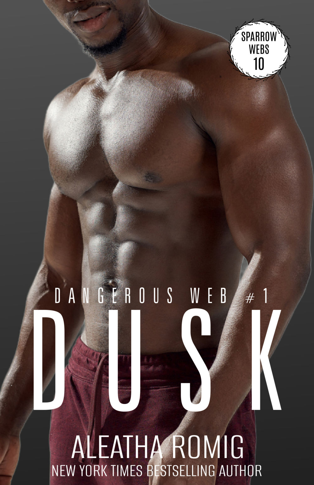 Dusk (Dangerous Web, #1)