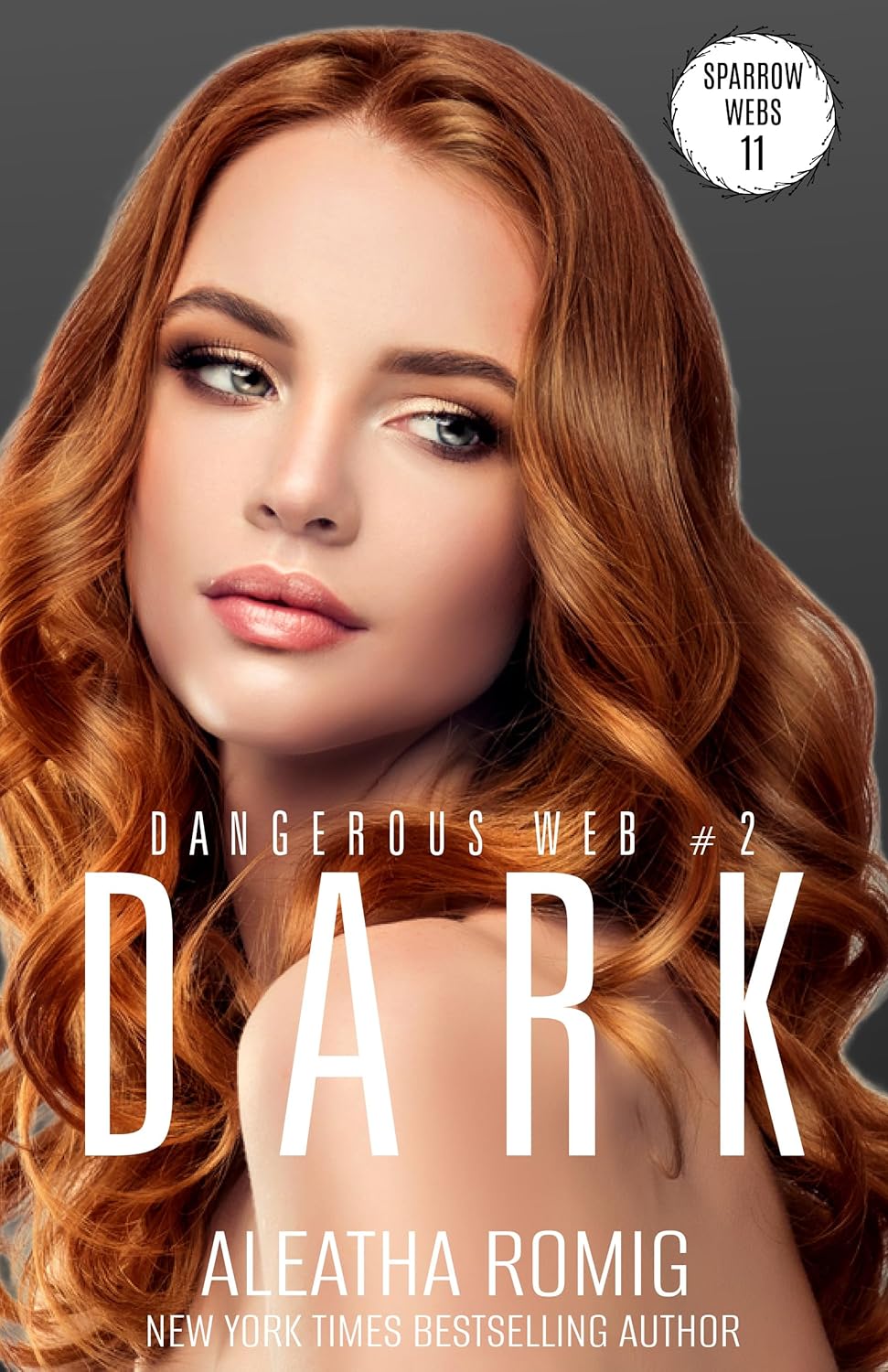 Dark (Dangerous Web, #2)