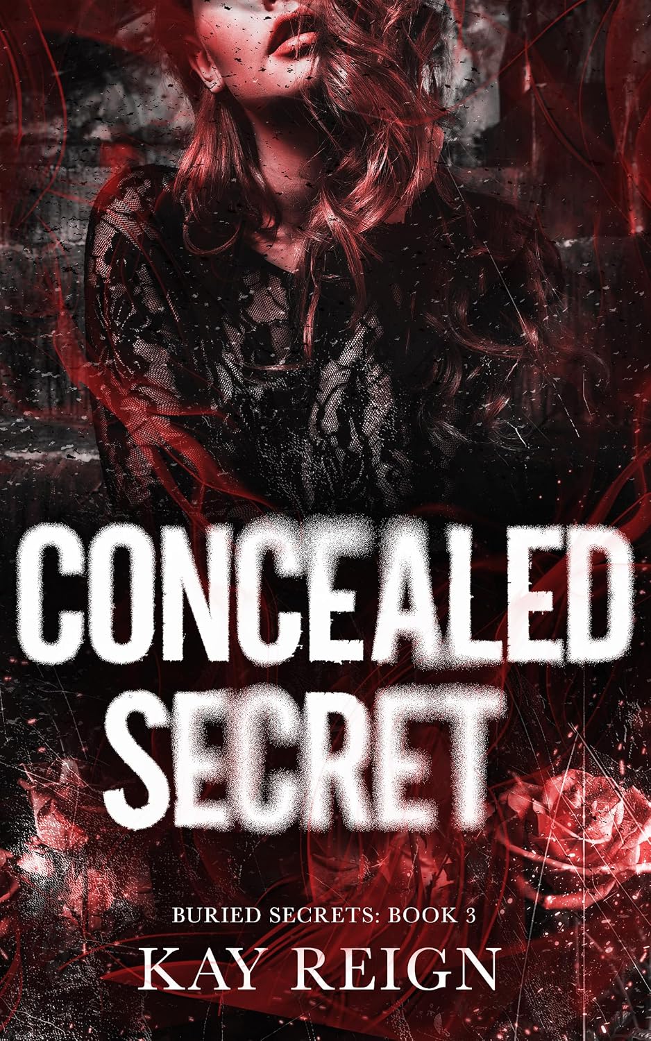 Read Concealed Secret (Buried Secrets 295 #3)