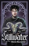 Stillwater by Bernie Brackford