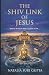 The shiv link of Jesus: what if religion was a cover story