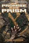 The Promise in th...