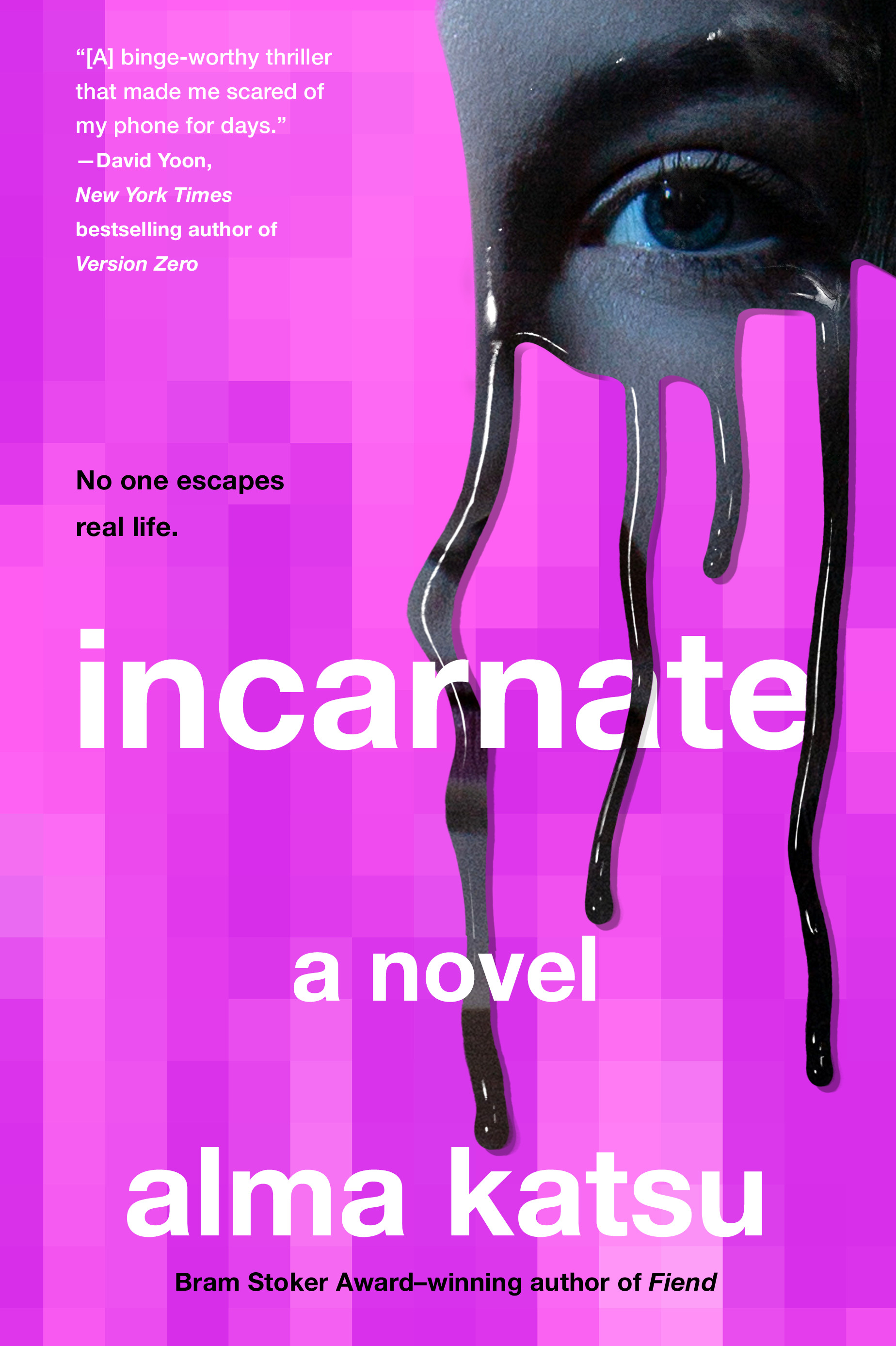 Incarnate (Hardcover)
