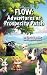 FLOW: Adventures at Prosperity Patch