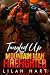 Tangled Up with the Firefighter (Copper Peak Sparks, #3)
