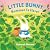 Little Bunny, Summer Is Here!
