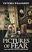 Pictures of Fear by Victoria  Williamson