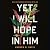 Yet I Will Hope in Him: Wal...
